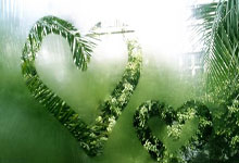 乌拉圭2022世界杯阵容，老炮压阵+新星崛起，能否续写荣光？